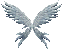 Dark Wizard Wings Level 2